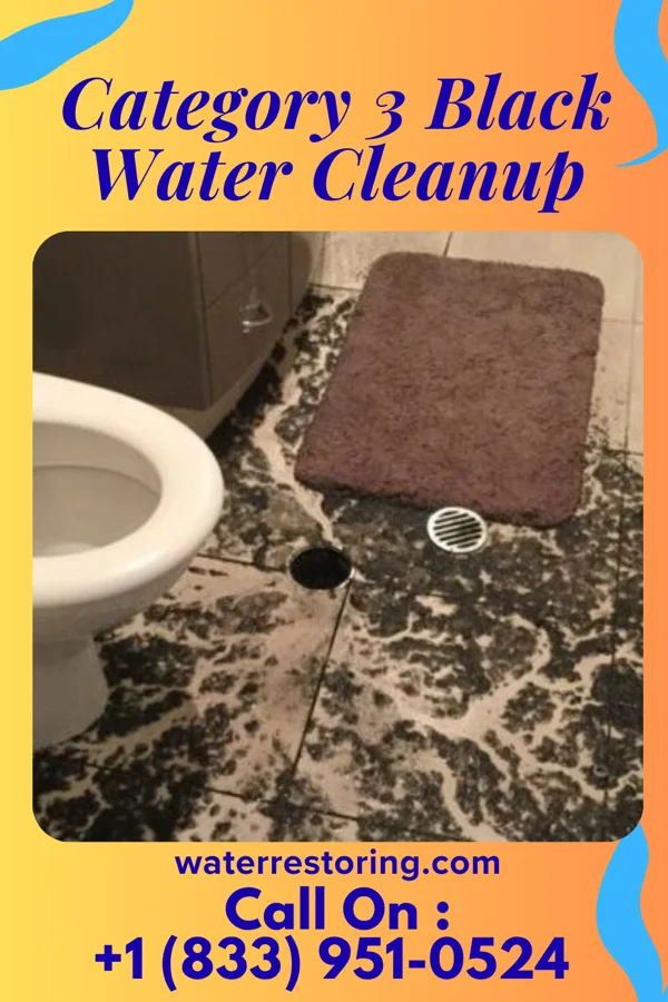 Category 3 Black Water Cleanup in Archbald, PA