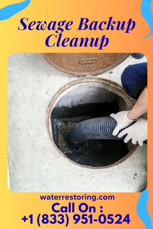 Sewage Backup Cleanup in Archbald, PA