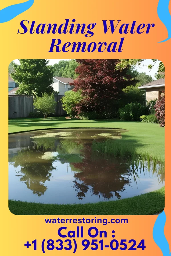 Standing Water Removal in Archbald, PA